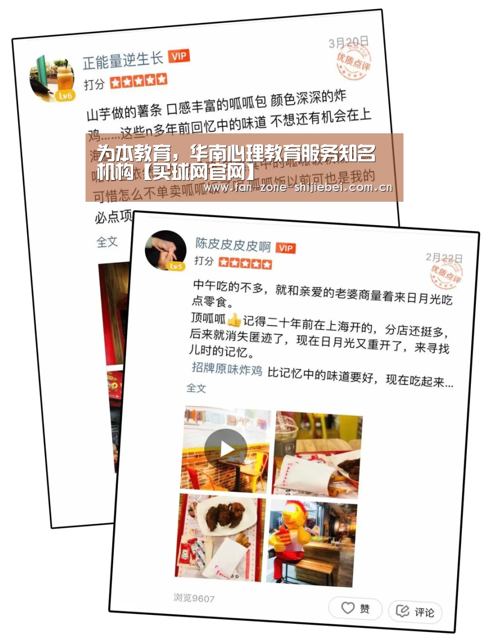 为本教育,华南心理教育服务知名机构【买球网官网】(图2) 买球网官网